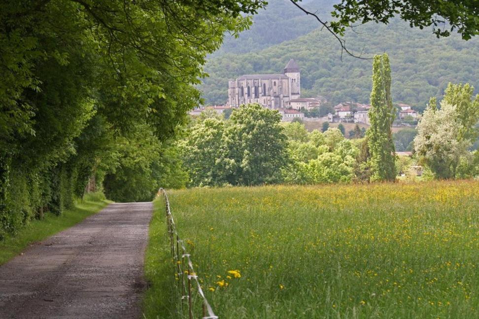 Chateau De Vidaussan Labroquere Bagian luar foto